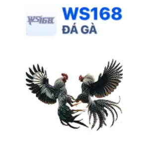 Slot Theo Chủ Đề